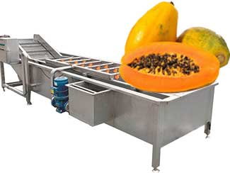 Papaya Washing  Machine