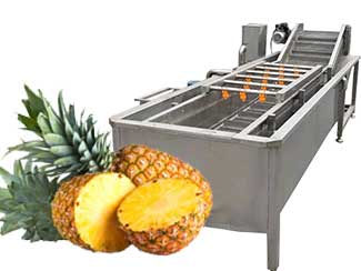 Pineapple Fruit Washing Machine