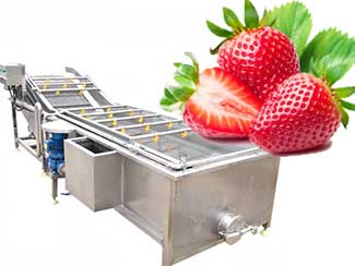 Strawberry Cleaning Machine