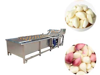 Garlic Cleaning Machine