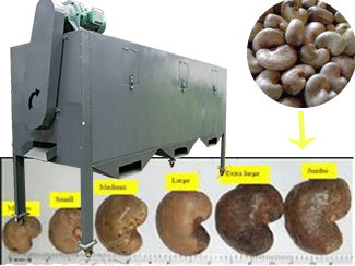 raw cashew grading machine