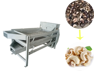 Cashew nut kernel separator