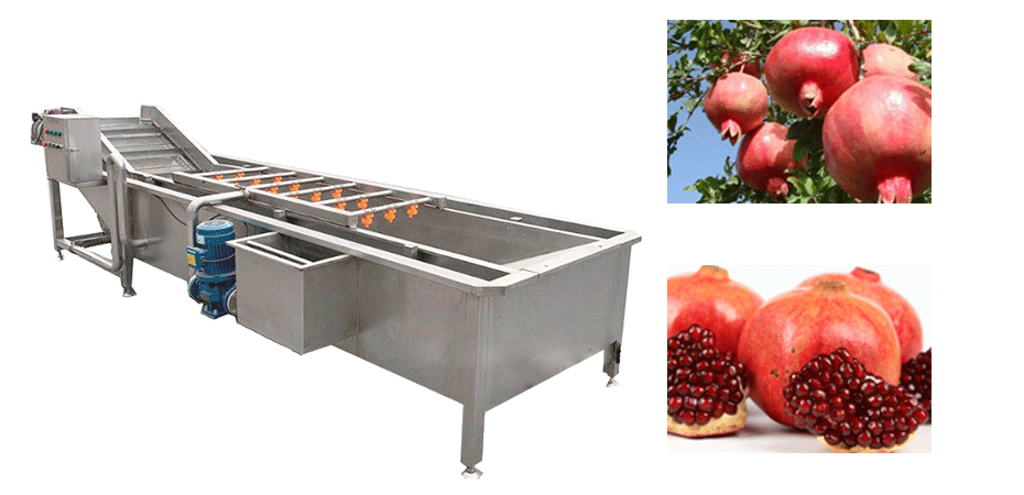 Pomegranate Washing Machine