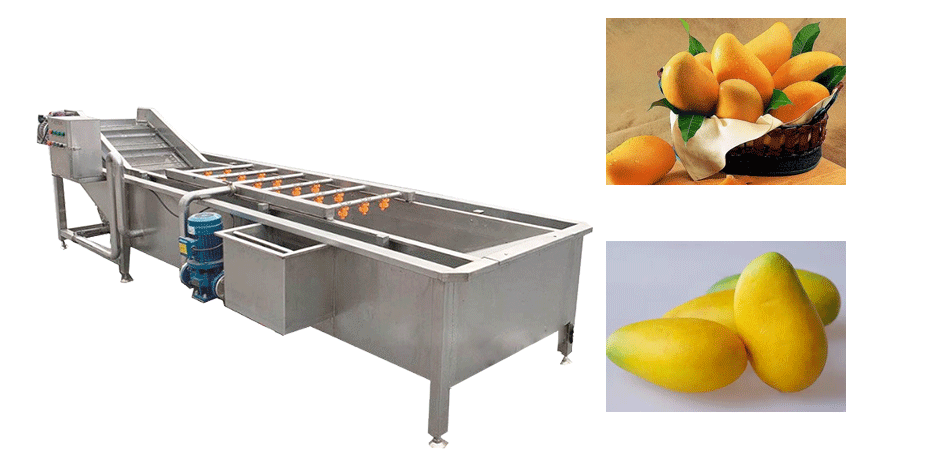Mango fruit washing machine 