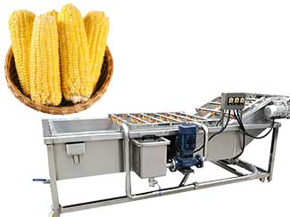 Industrial  Corn Washing Cleaning Equipment