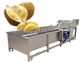 Durian Washing Machine