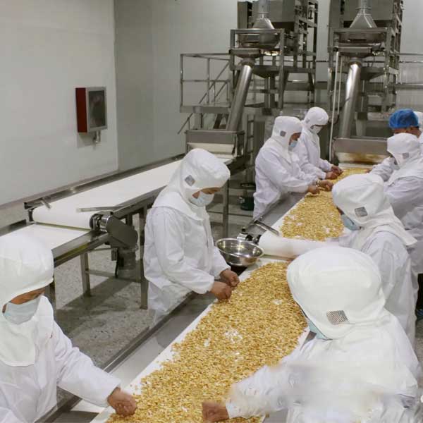 How large is the peanut butter production line