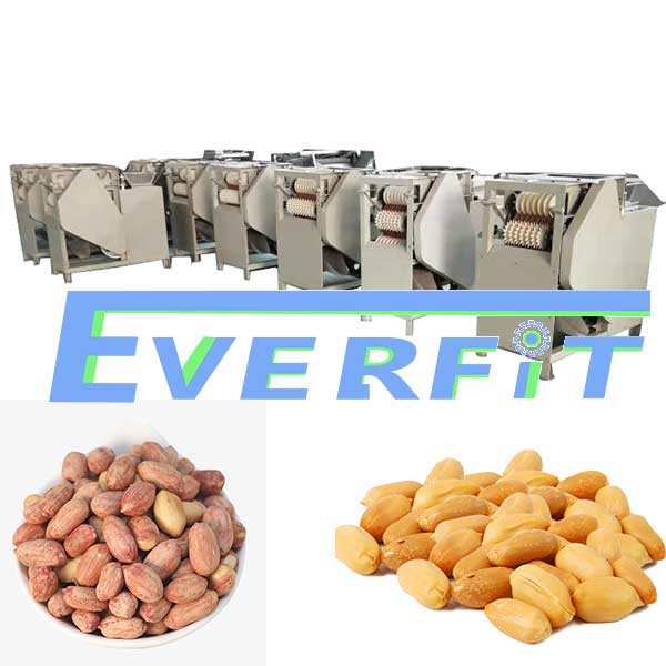 everfit peanut peeling machine
