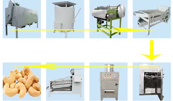 Work Flow of Cashew Nut Shelling Production Line 