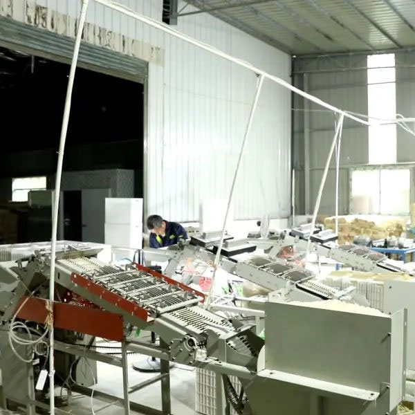 Toothpick Manufacturing Plant