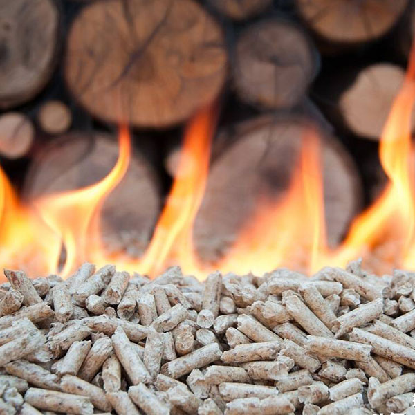 Can Biomass Pellet Fuel Replace Non Renewable Energy