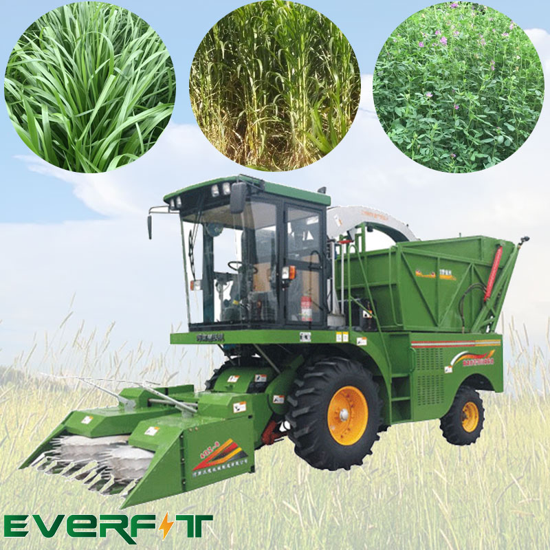 Fodder Cutter Reaper Machine Price In Pakistan Everfit Food Machine