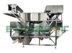 What Are The Applications Of AI Sorting Machines In The Date Palm Processing Industry