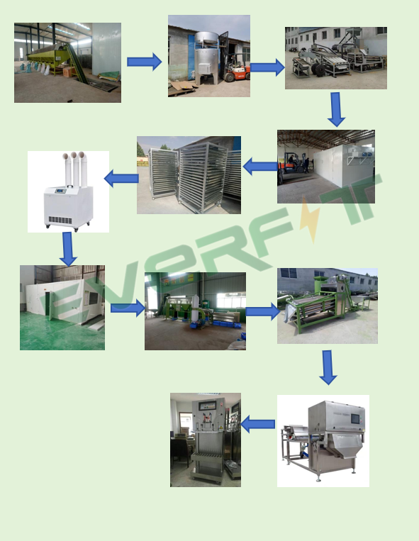Cashew nut production line